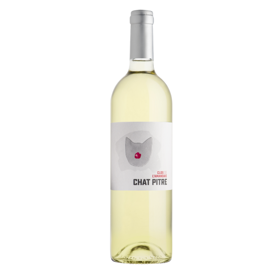 Chat Pitre Blanc 2025 FR 5 Route du Penin DOMAINE AUGERON
