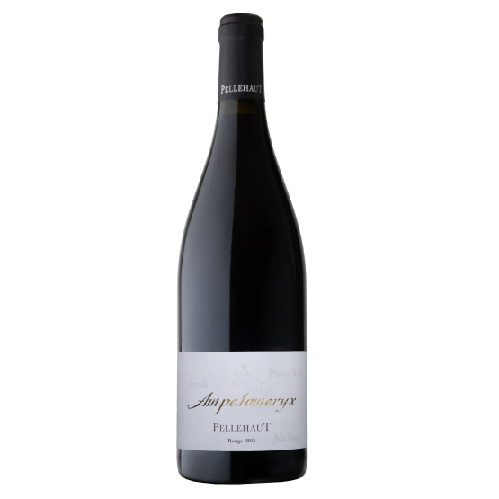 Ampélomeryx Rouge 2024 FR 5 Route du Penin DOMAINE AUGERON