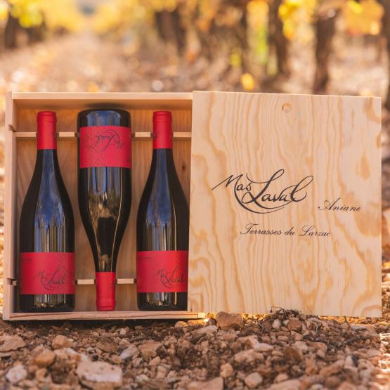 Cuvée Léna 2023 Coffret bois 3 bouteilles FR 5 Route du Penin DOMAINE AUGERON