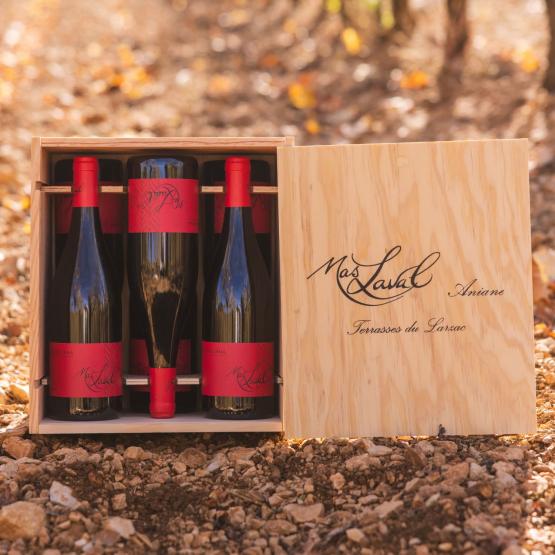 Cuvée Léna 2023 Coffret bois 6 bouteilles FR 5 Route du Penin DOMAINE AUGERON