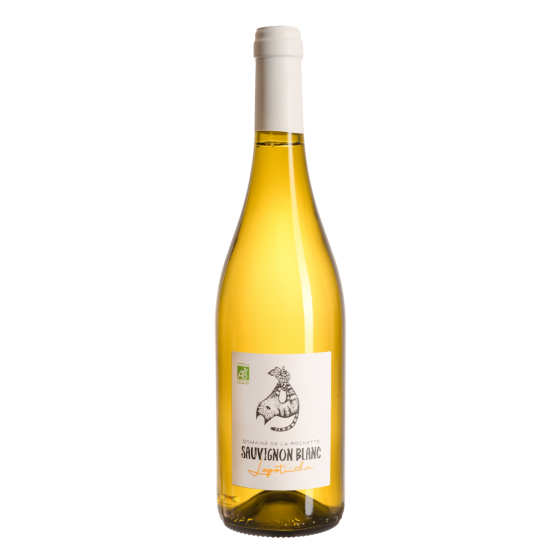 Sauvignon Lopotiicha Blanc 2025 FR 5 Route du Penin DOMAINE AUGERON