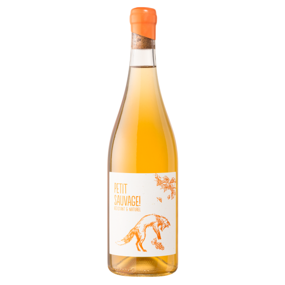 Petit Sauvage 2025 Orange FR 5 Route du Penin DOMAINE AUGERON